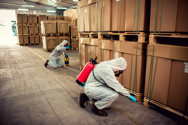 Best Pest Control for Businesses  in Dodge Center, MN