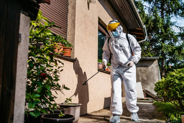 Best Pest Prevention Services  in Dodge Center, MN