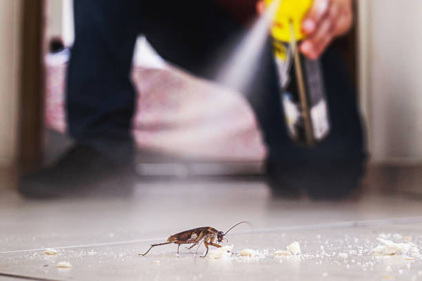 Wildlife Control Services in Dodge Center, MN